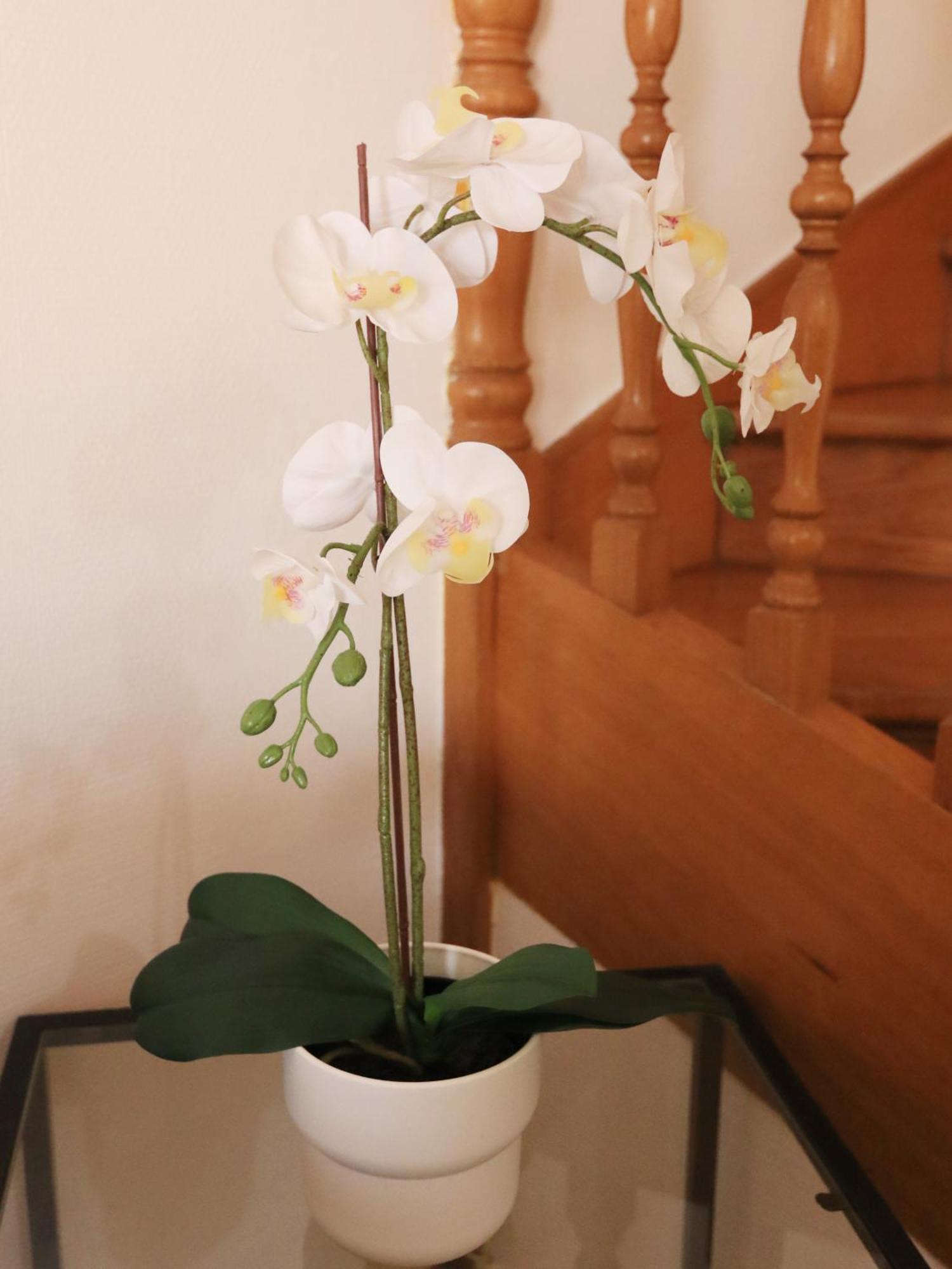 Casa Vazquez Villa กอสตา เดล ซิเลนซิโอ ภายนอก รูปภาพ